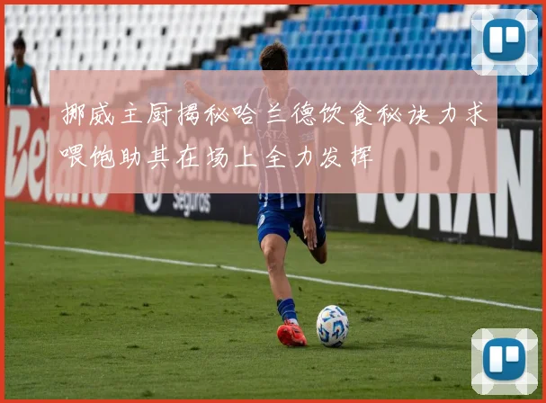 挪威主厨揭秘哈兰德饮食秘诀力求喂饱助其在场上全力发挥